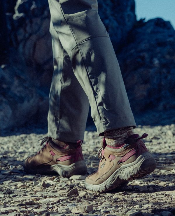Women's Targhee IV Waterproof Hiking Shoe | Bison/Huckleberry