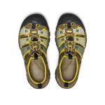 Men's Newport H2 Sandal  |  Gradient Dark Olive