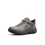 Women's Targhee IV Waterproof Hiking Shoe | Alloy/Granite Green