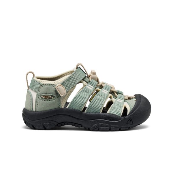 Little Kids' Newport H2 | Lily Pad/Black