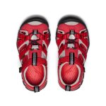 Little Kids' Seacamp II CNX | Ribbon Red/Alloy