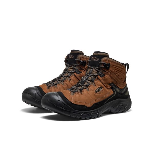 Men's Targhee IV Waterproof Hiking Boot | Bison/Black