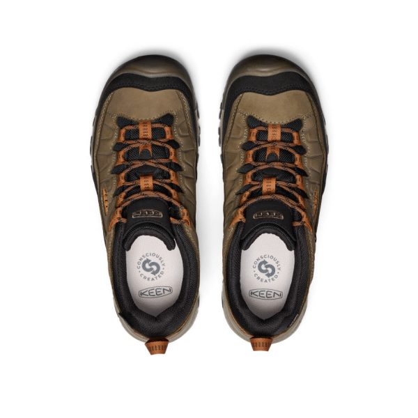 Men's Targhee IV Waterproof Hiking Shoe | Sea Turtle/Roasted Pecan