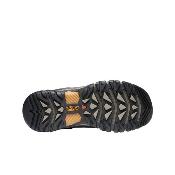Men's Targhee III Waterproof Mid | Black Olive/Golden Brown