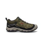 Men's Targhee IV Vented Hiking Shoe | Dark Olive/Gold Flame