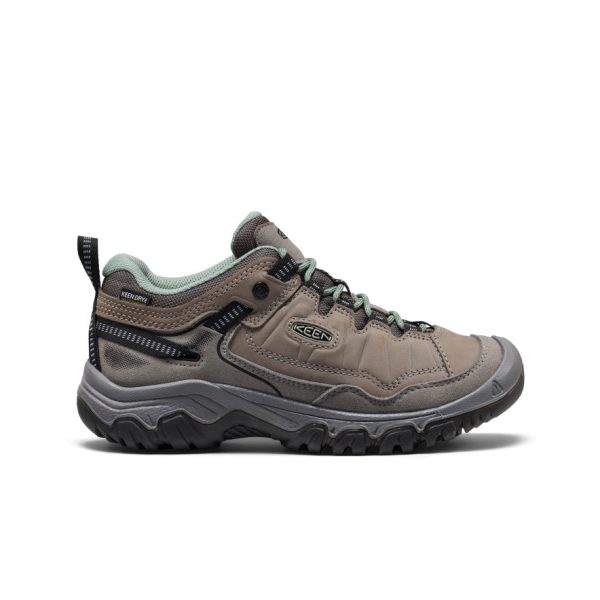 Women's Targhee IV Waterproof Hiking Shoe | Steel Grey/Lily Pad
