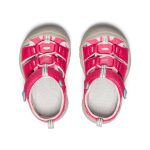 Toddlers' Newport H2 | Raspberry/Giggle Pink