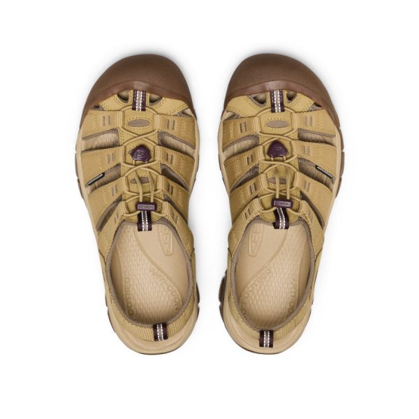 Men's Newport H2 Sandal  |  Mesa Glow