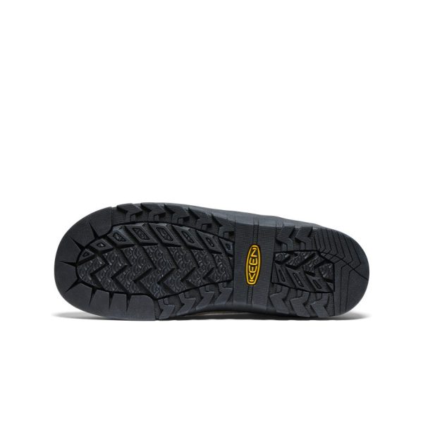 Women's Jasper Rocks Sneaker | Birch/Black
