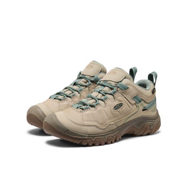 Women's Targhee IV Waterproof Hiking Shoe  |  Abbey Stone/Lily Pad