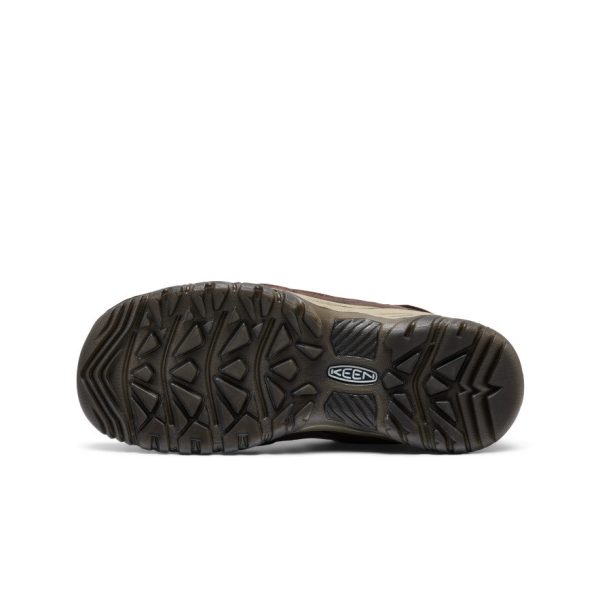 Men's Targhee IV Waterproof Hiking Shoe  |  Java/Bison